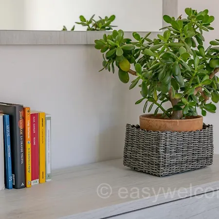 Easy Welcome Il Tornante 2 - Apartment Nesso